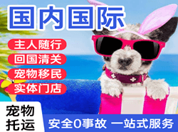 敦煌航空快递国际宠物托运 【国